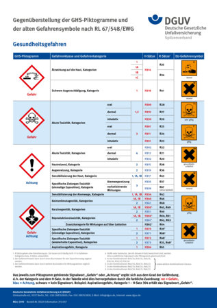 Ausgewählte GHS-Piktogramme und ihre Bedeutung